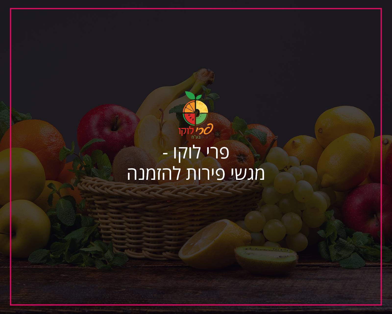 פרסום באינטרנט וקידום אורגני בגוגל פרי לוקו מגשי פירות - הקידום שלי