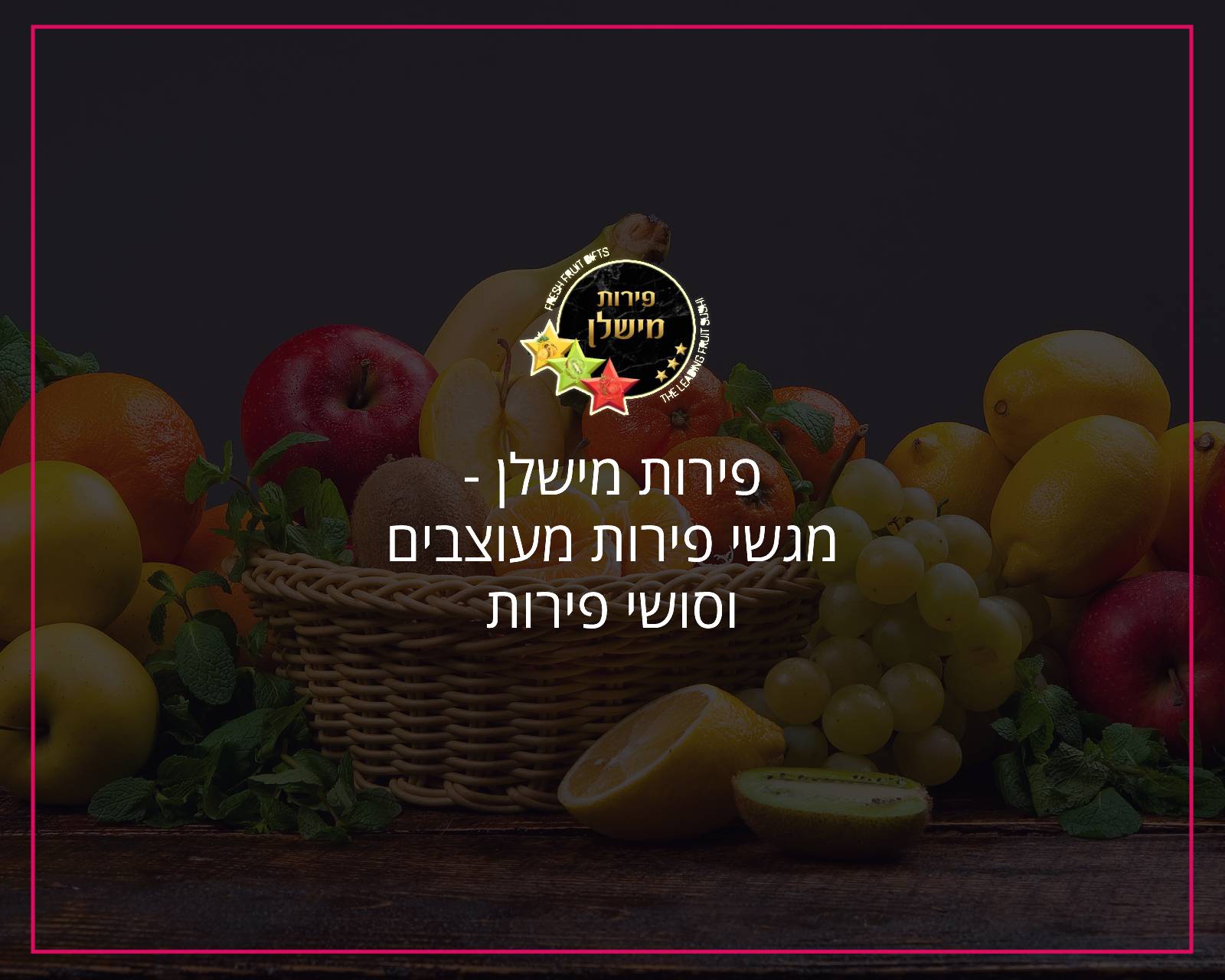פרסום באינטרנט וקידום אורגני בגוגל פירות מישלן מגשי פירות - הקידום שלי